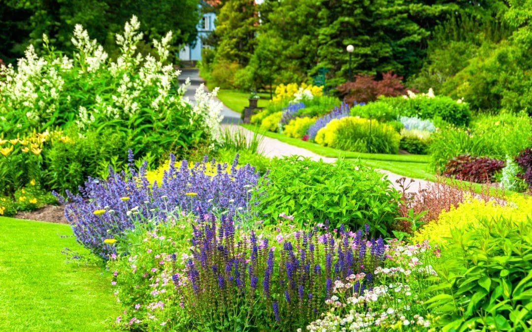 6 Summer Landscaping Tips to Keep Your Yard Vibrant and Healthy