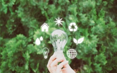 Bright Ideas to Save Energy and Slash Your Utility Bills
